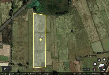 ขายที่ดินเปล่า 9 ไร่ 6 ตารางวา อ.เชียงขวัญ จ.ร้อยเอ็ด ที่ดินติดหนองน้ำสาธารณะประโยชน์ โทร 0629515646